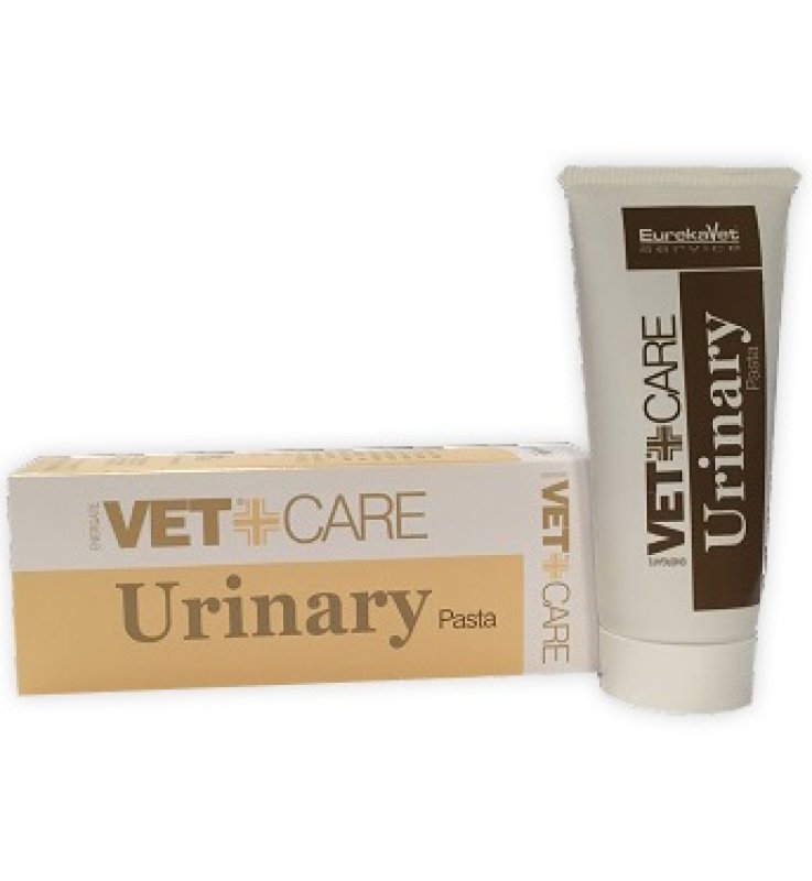 V URINARY VETCARE PASTA 80G