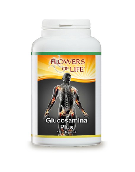 GLUCOSAMINA PLUS 100CPS FLOWERS