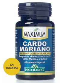 MAXIMUM CARDO MARIANO 40CPS