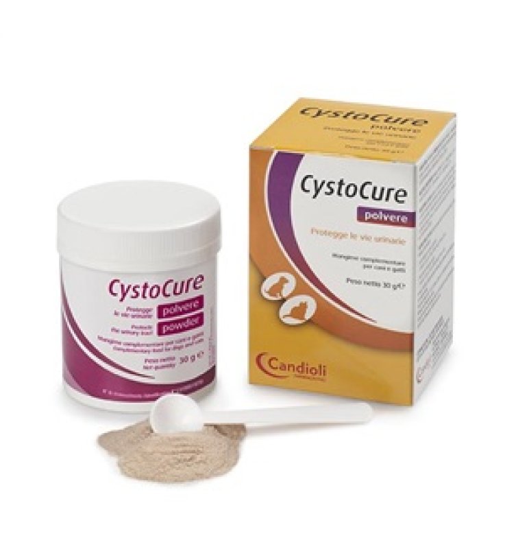 CYSTOCURE FORTE BARATTOLO 30 G
