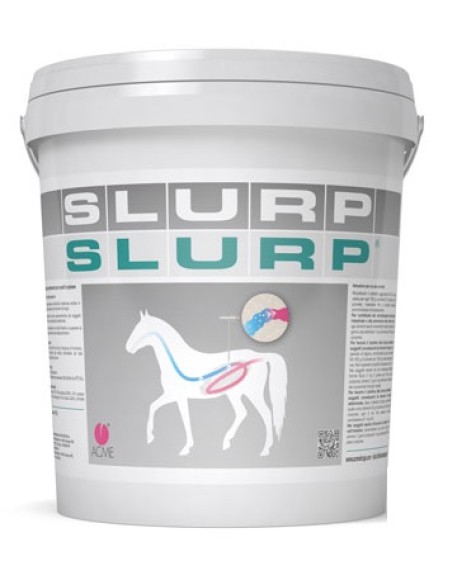 V SLURP POLVERE 10KG V SLURP POLVERE 10KG