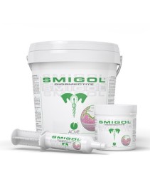 V SMIGOL 1GK ACME