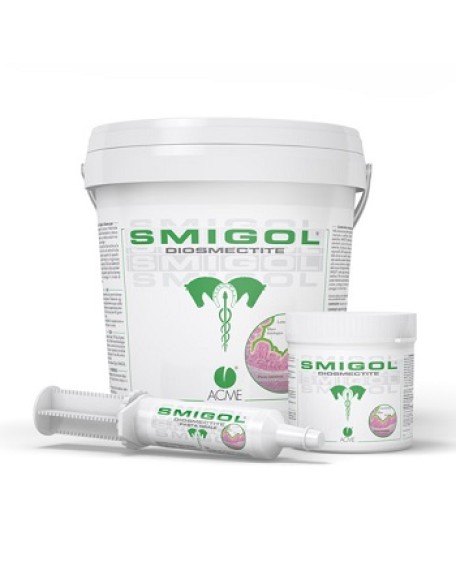 V SMIGOL 1GK ACME V SMIGOL 1GK ACME