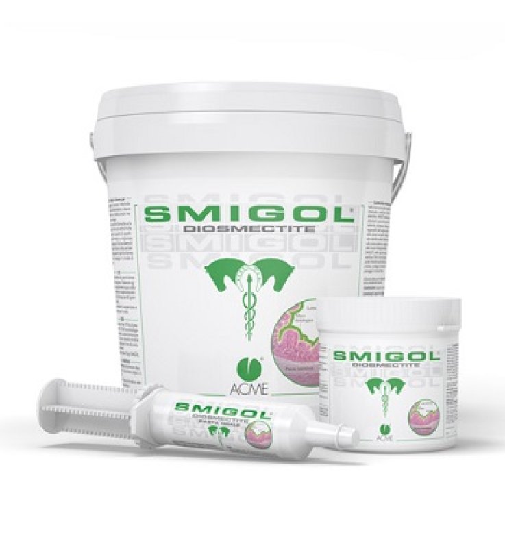 V SMIGOL 1GK ACME