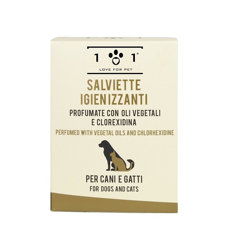 V SALVIETTE 101LOVE IGIEN C/CLX
