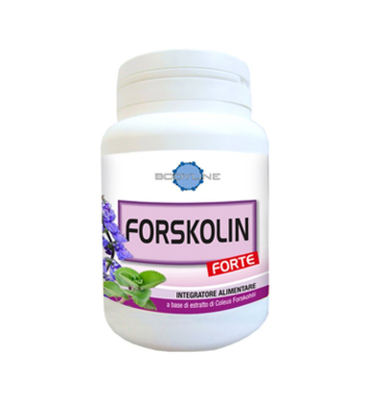 FORSKOLIN FORTE 60CPS