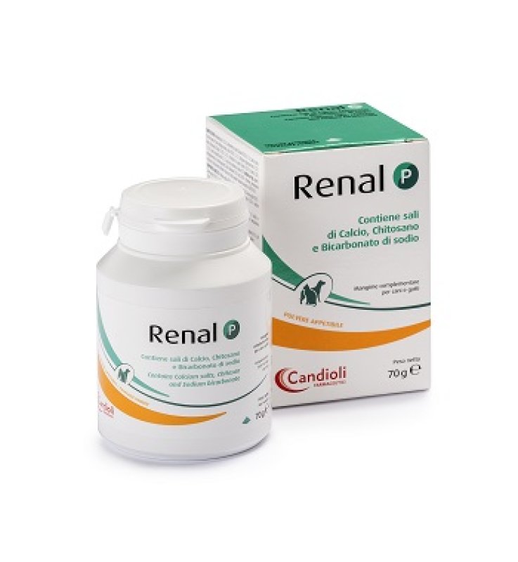 RENAL P MANGIME COMPLEMENTARE PER CANI E GATTI BARATTOLO 70G