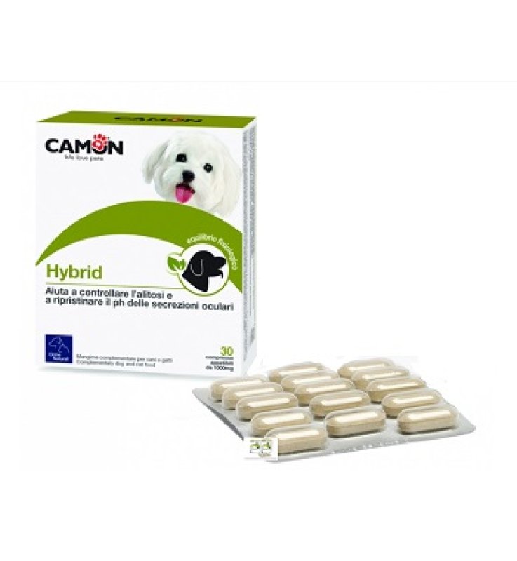 HYBRID 30 COMPRESSE