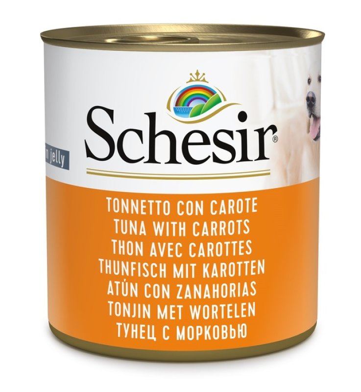 V SCHESIR DOG TONNETTO CAROTE