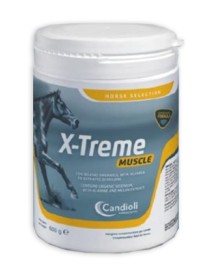 V X-TREME MUSCLE 600G CAVALLI