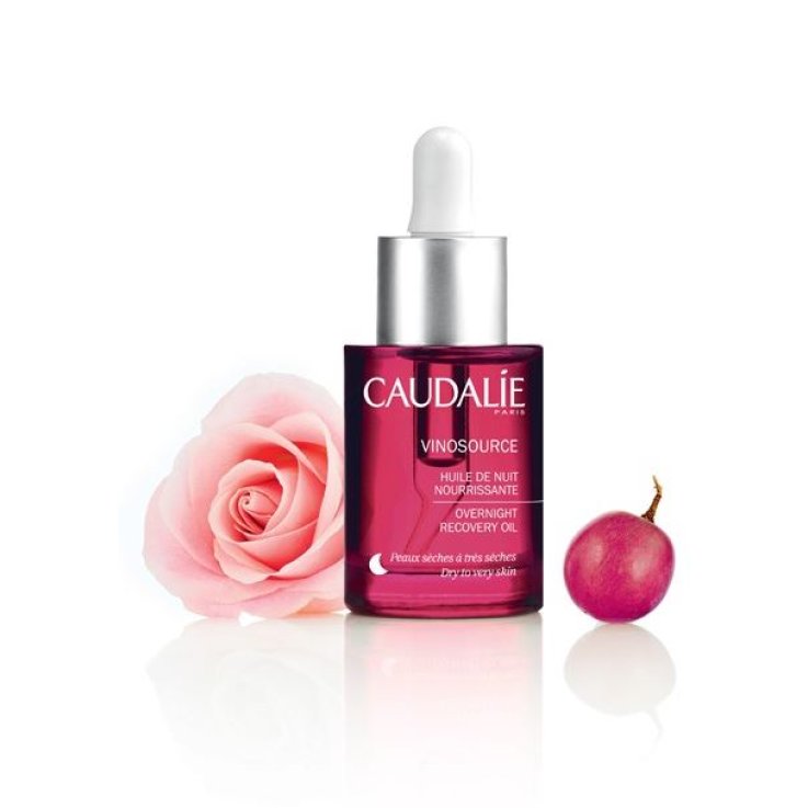 VINOSOURCE OLIO NOTTE 30 ML VINOSOURCE OLIO NOTTE 30 ML