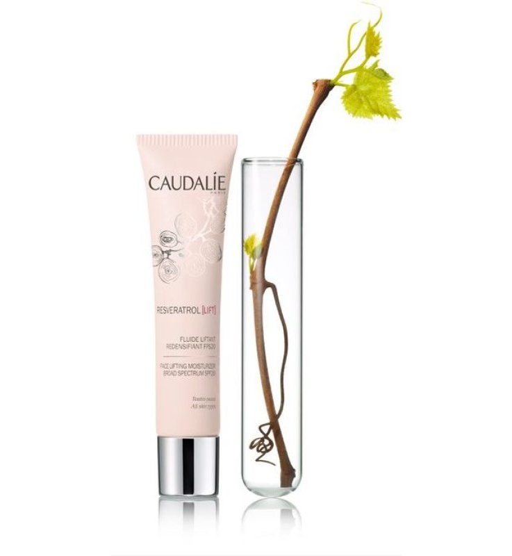 RESVERATROL LIFT FLUIDO SPF20 40 ML 2016