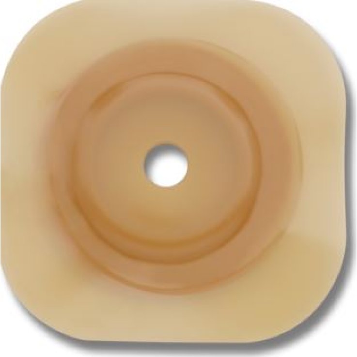 HOLLI Conf2 Pl.Conv.13-51 70mm HOLLI Conf2 Pl.Conv.13-51 70mm