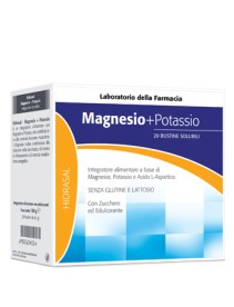 LDF HIDRASAL MAGNESIO E POTASSIO 20 BUSTINE