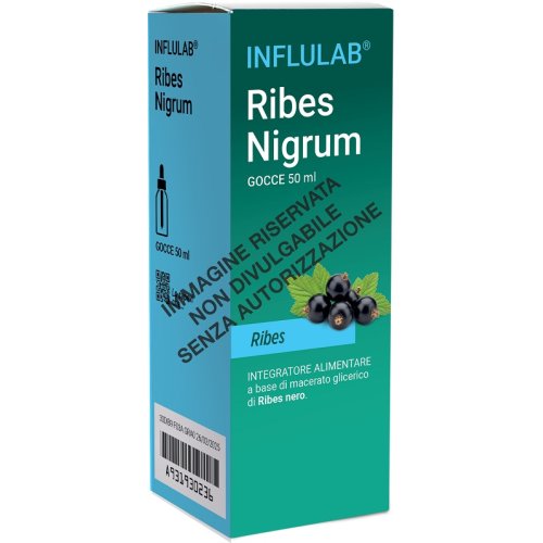 RIBES NIGRUM MACERATO GLICERICO 100 ML LDF