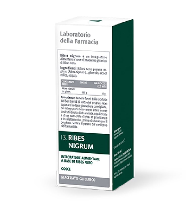 RIBES NIGRUM MACERATO GLICERICO 100 ML LDF