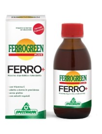 FERROGREEN PLUS FERRO+ 170 ML