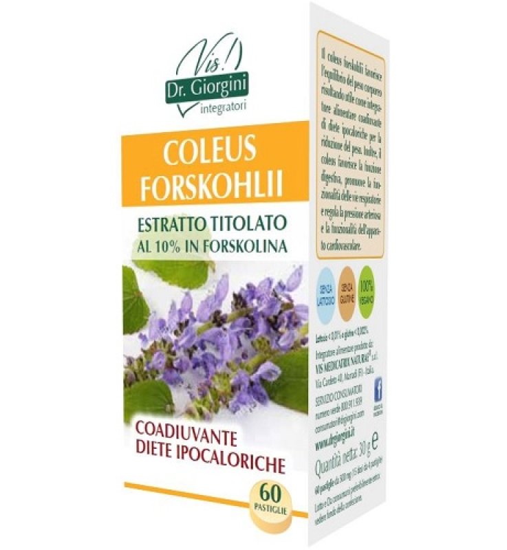COLEUS FOR E.T.60 Past.SVS