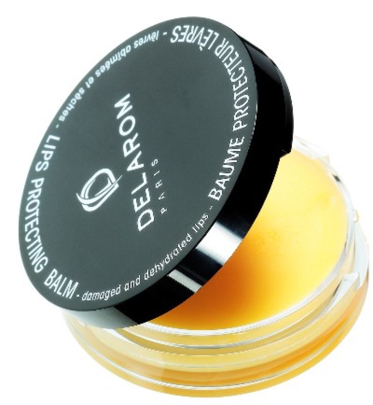 DELAROM BAUME PROTECTOR LEVRES 10 ML