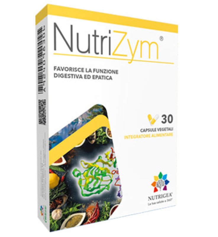 NUTRIZYM 30 CAPSULE