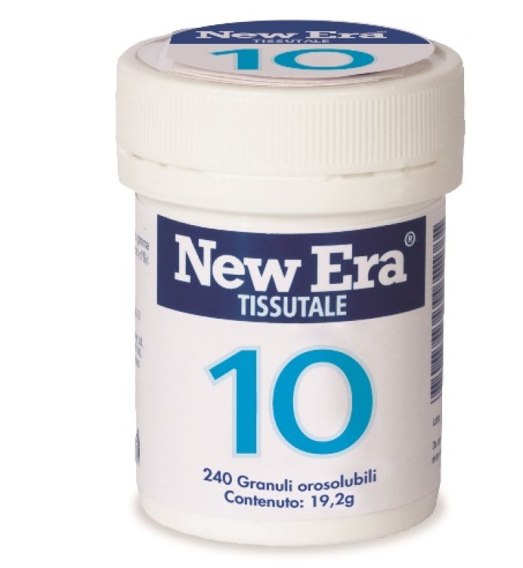 NEWERA 10 240GR