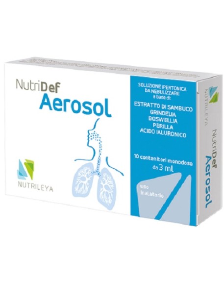 NUTRIDEF AEROSOL 10 FIALE 3 ML