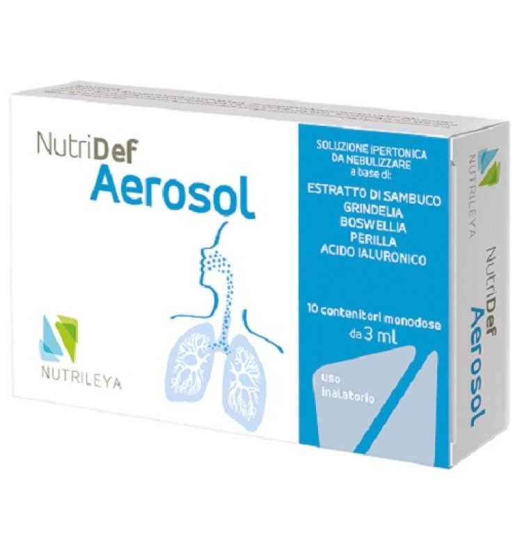 NUTRIDEF AEROSOL 10 FIALE 3 ML