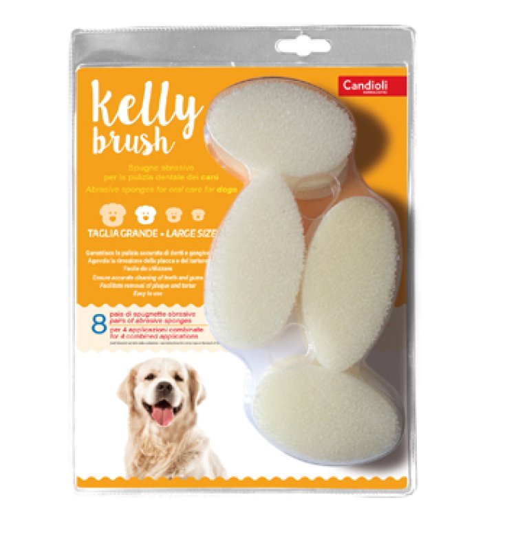V SPUGN.KELLY BRUSH T.GRANDE 16P