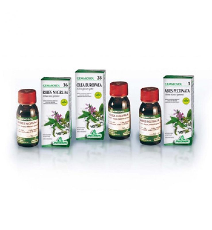 SP.FICO 24 Gemmosol 50ml