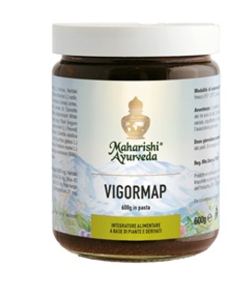 VIGORMAP PASTA 600 G