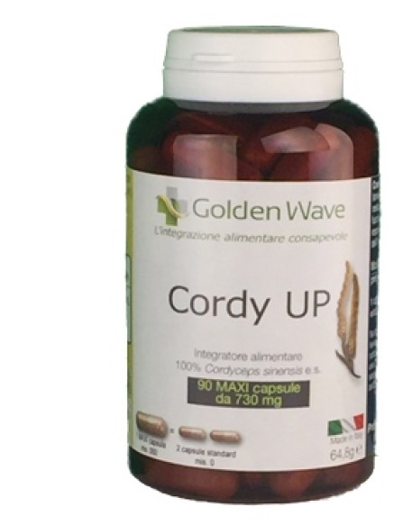 CORDY UP 90MAXI CPS