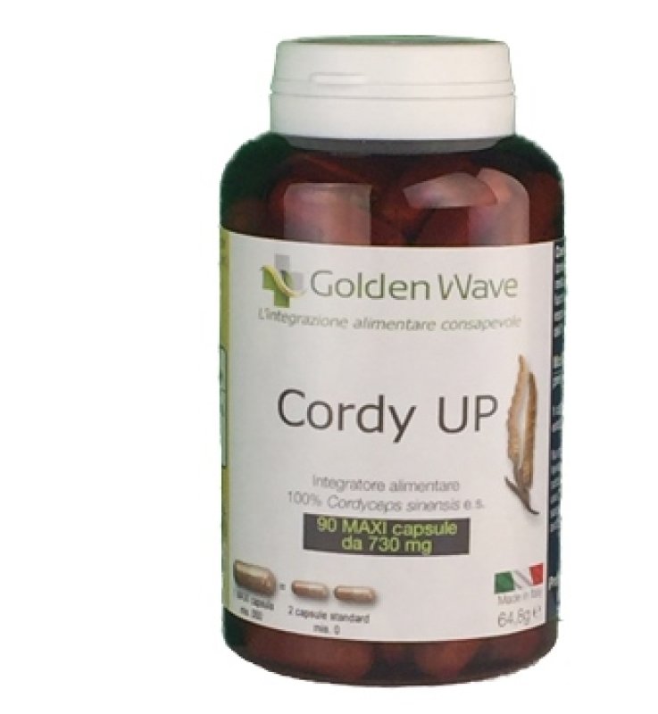 CORDY UP 90MAXI CPS