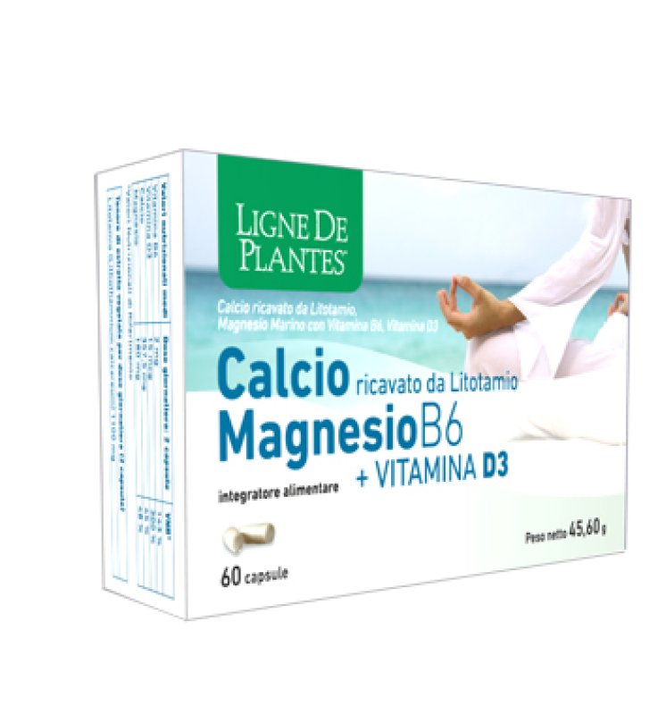 CALCIO/MG B6+Vit.D3 60 Cps NSE