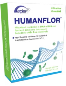 HUMANFLOR 8 Bust.1g