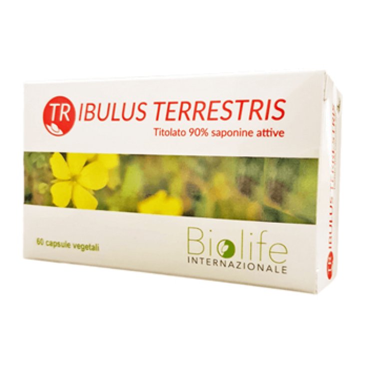 TRIBULUS TERRESTRIS 60 Cps TRIBULUS TERRESTRIS 60 Cps