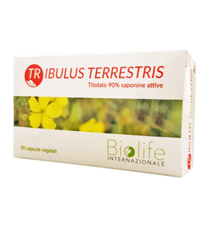 TRIBULUS TERRESTRIS 60 Cps TRIBULUS TERRESTRIS 60 Cps