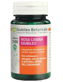 ROSA CANINA GIUBILEO 50CPS
