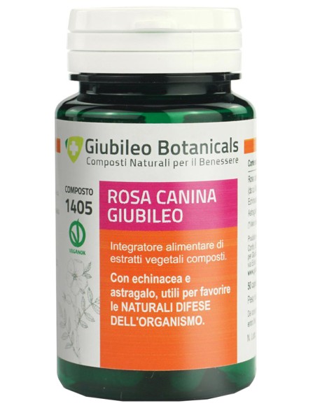 ROSA CANINA GIUBILEO 50CPS