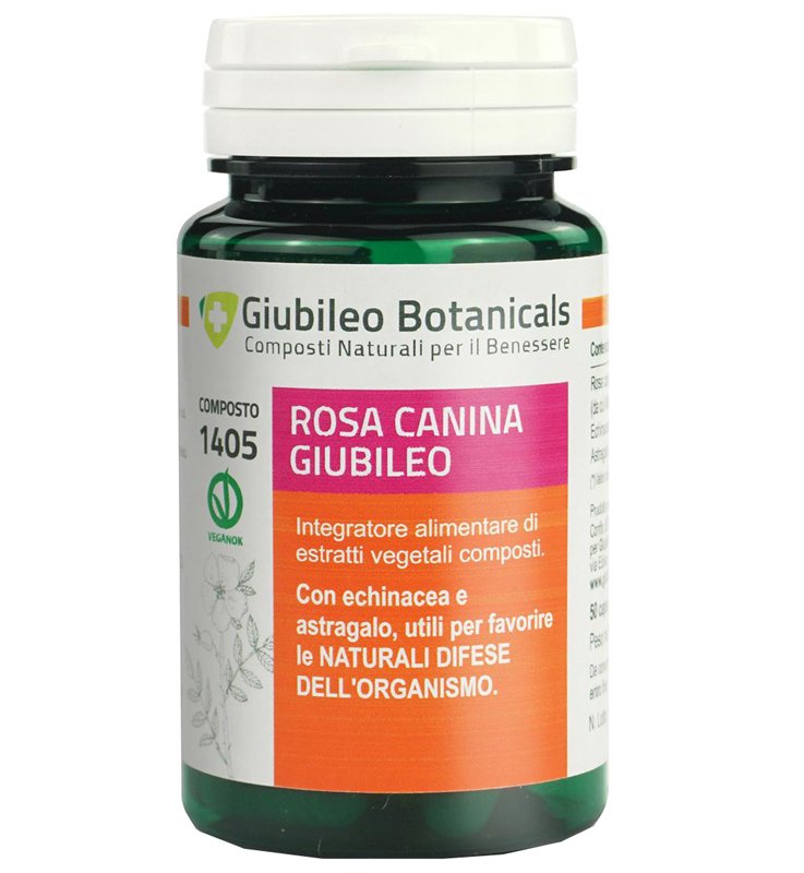 ROSA CANINA GIUBILEO 50CPS
