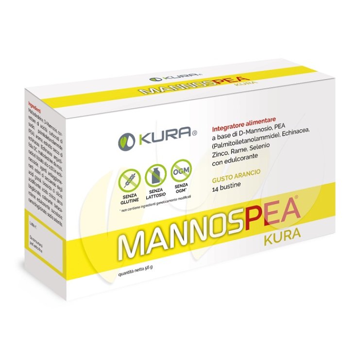 MANNOSPEA 14 Bust. MANNOSPEA 14 Bust.