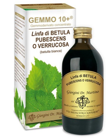 GEMMO 10+ BETULLA B LINFA 200 ML LIQUIDO ANALCOLICO