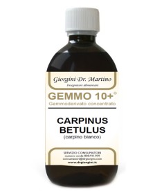 CARPINO Gemmo 10+ Analc.500ml