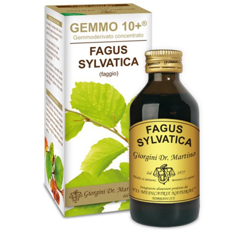 FAGGIO ANAL.GEMMO 10+ 100ML GIOR FAGGIO ANAL.GEMMO 10+ 100ML GIOR