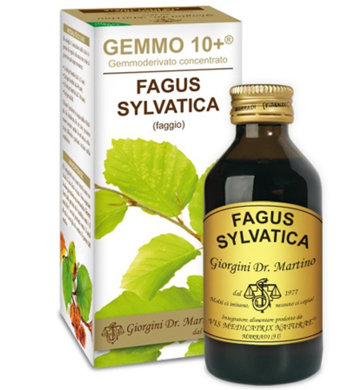 FAGGIO ANAL.GEMMO 10+ 100ML GIOR FAGGIO ANAL.GEMMO 10+ 100ML GIOR