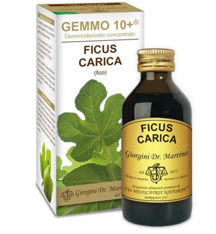 GEMMO 10+ FICO LIQUIDO ANALCOLICO 100 ML GEMMO 10+ FICO LIQUIDO ANALCOLICO 100 ML