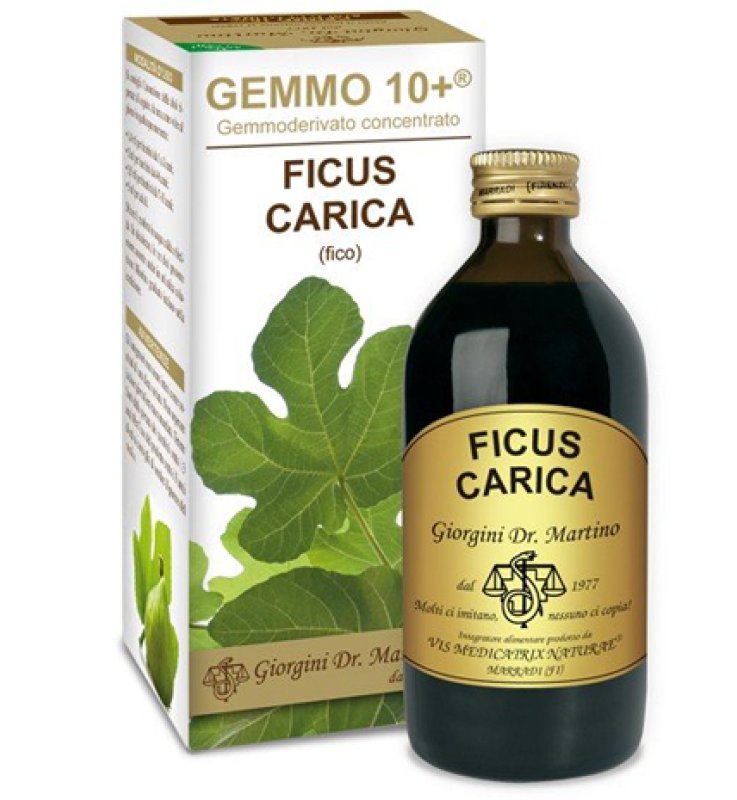 GEMMO 10+ FICO LIQUIDO ANALCOLICO 200 ML GEMMO 10+ FICO LIQUIDO ANALCOLICO 200 ML