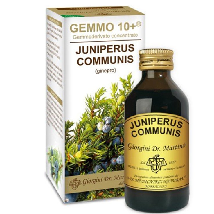 GINEPRO 100ML ANALCO GEMMO 10+ G GINEPRO 100ML ANALCO GEMMO 10+ G