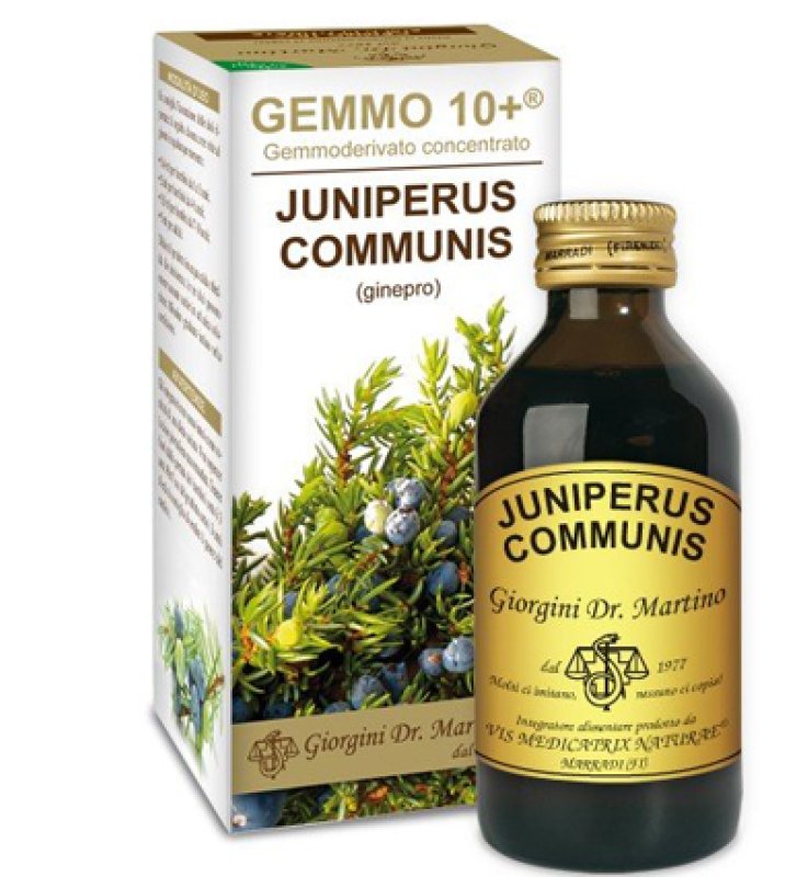 GINEPRO 100ML ANALCO GEMMO 10+ G