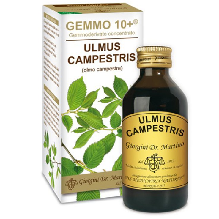 OLMO CAMP 100ml Analc.Gemme10+ OLMO CAMP 100ml Analc.Gemme10+