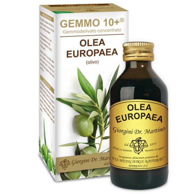 OLIVO GEMMO 10+ S/ALC GTT 100ML OLIVO GEMMO 10+ S/ALC GTT 100ML